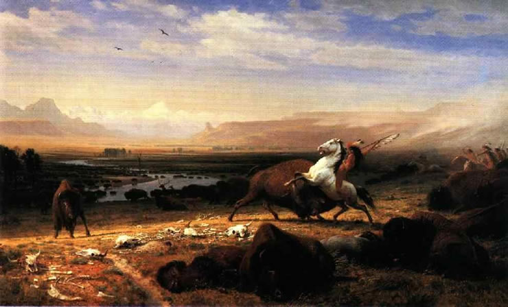 The Last of the Buffalo