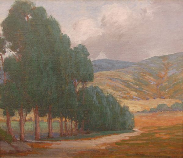 Higgins, Eucalyptus Tree