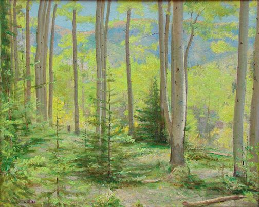 Phillips, In the Aspens