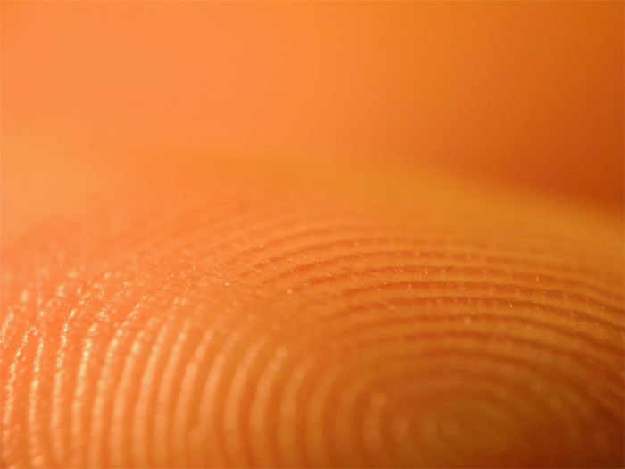 Authenticating Art via Fingerprints
