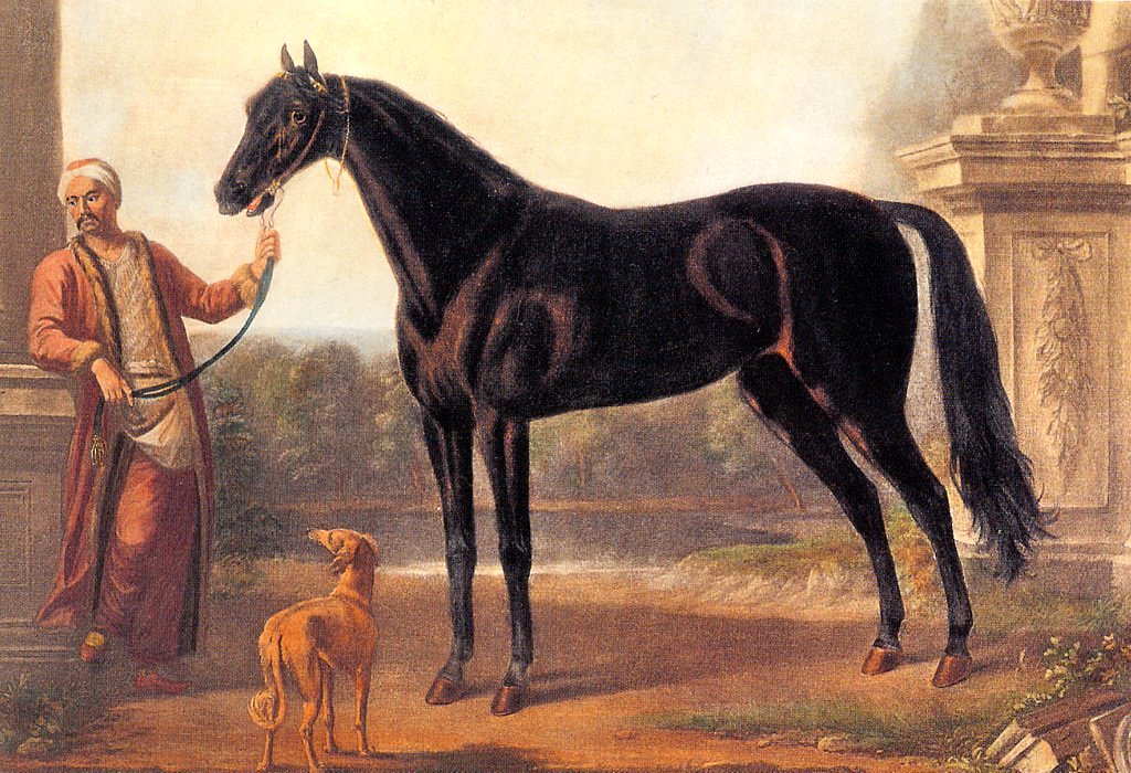 Wootton, The Byerly Turk