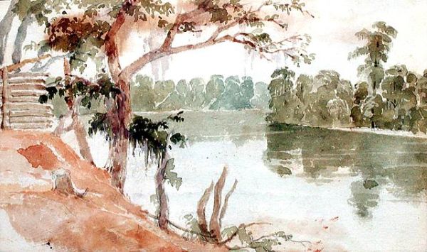 Eastman, Cypress Florida, 1840