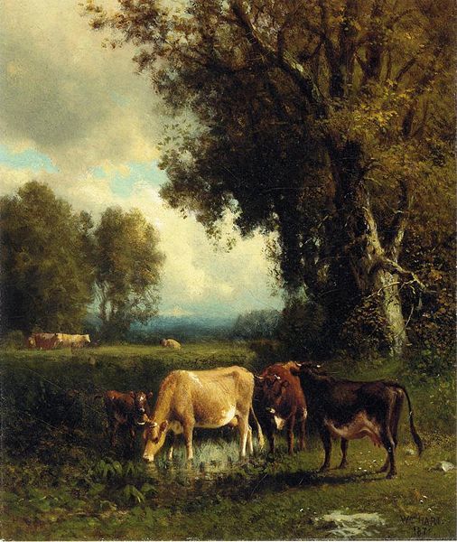 Hart, Cows in the Valley