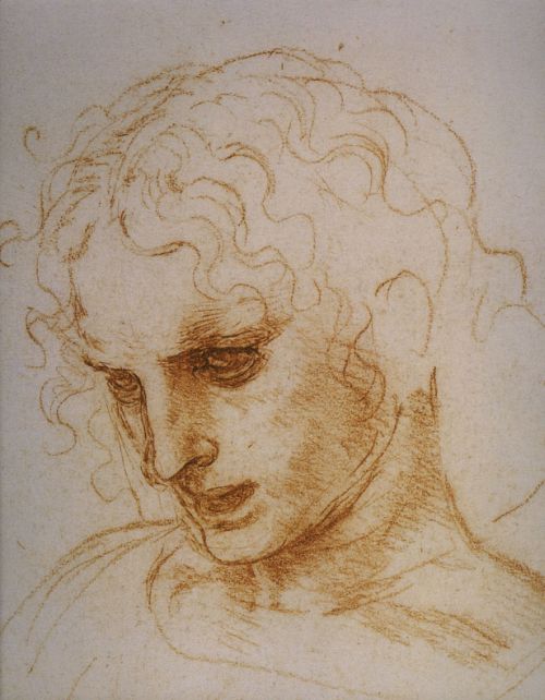 da Vinci, Study of a Woman, ca. 1487, Galleria delgli Uffizi, Florence, Italy.