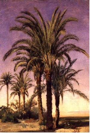 Palm Trees, 1830's