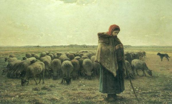 Woman shepherding her herd