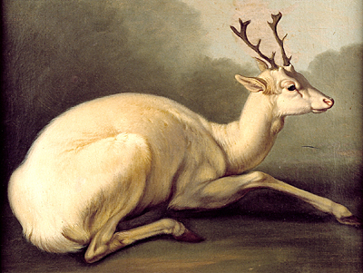 Peter painting, Deer