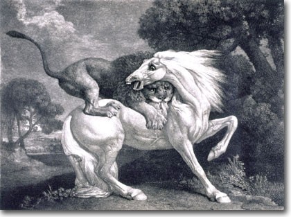 Horse Attacked by a Lion 1788