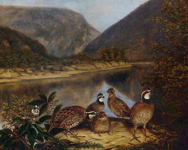 Peale, Five Bobwhites at the Delaware Water Gap, 1868