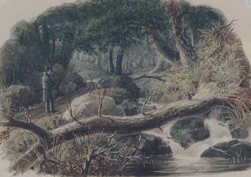 Weir, The Entrance to a Wood, drawing 