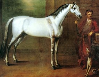Wootton, Lord Oxford’s Bloody Shouldered Arabian Horse, 1724