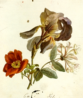 3. Iris, Rose, Honeysuckle. Instructional illustration, etching. 1810. 